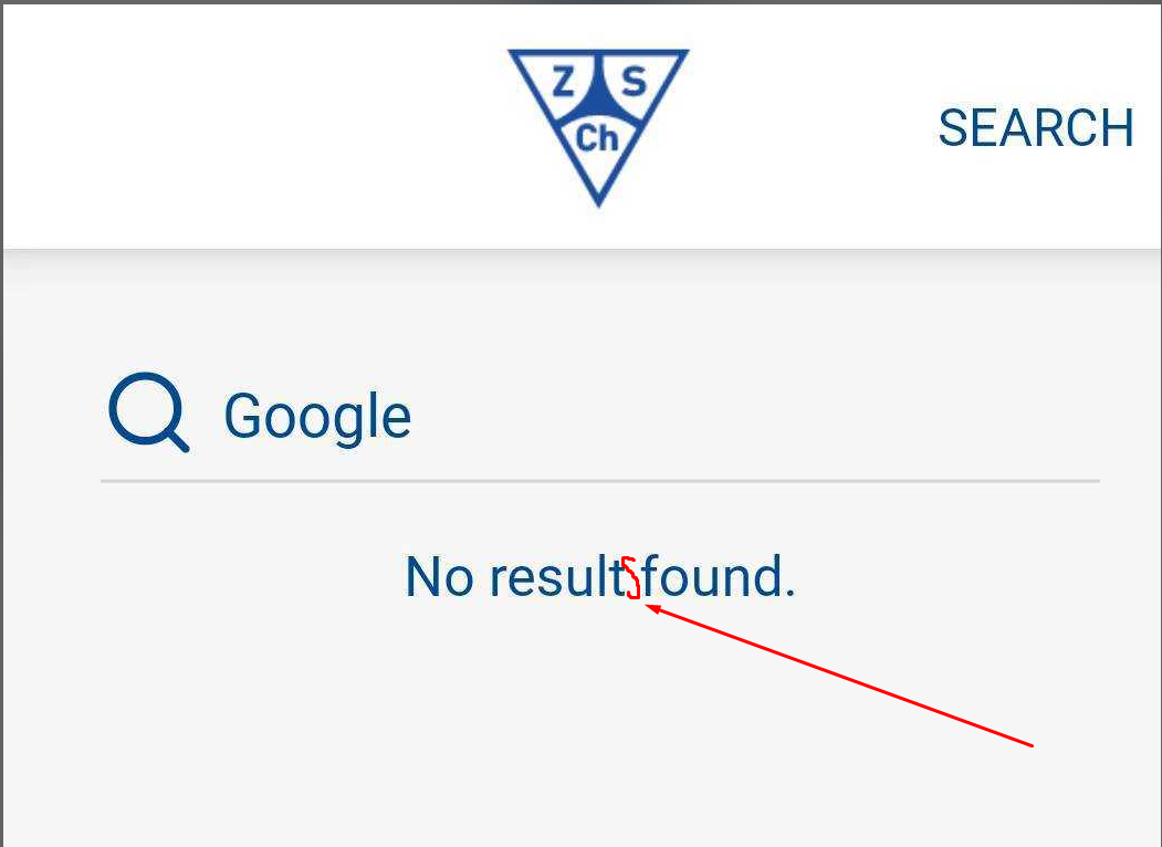 Bei Suchergebnissen wird kein Text angezeigt