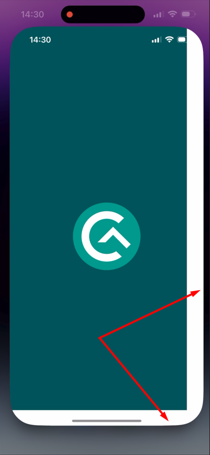 Splash-Screen wird beim Starten der App rechts und unten abgeschnitten