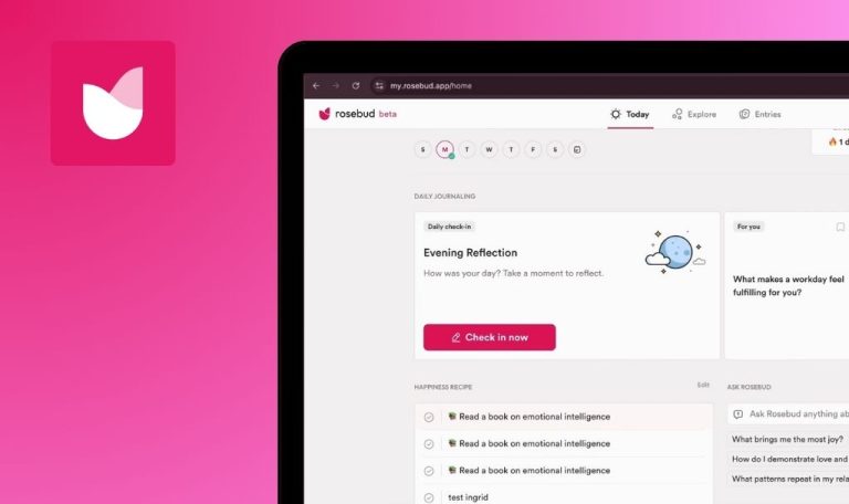 Bugs in Rosebud: AI Journal & Diary gefunden
