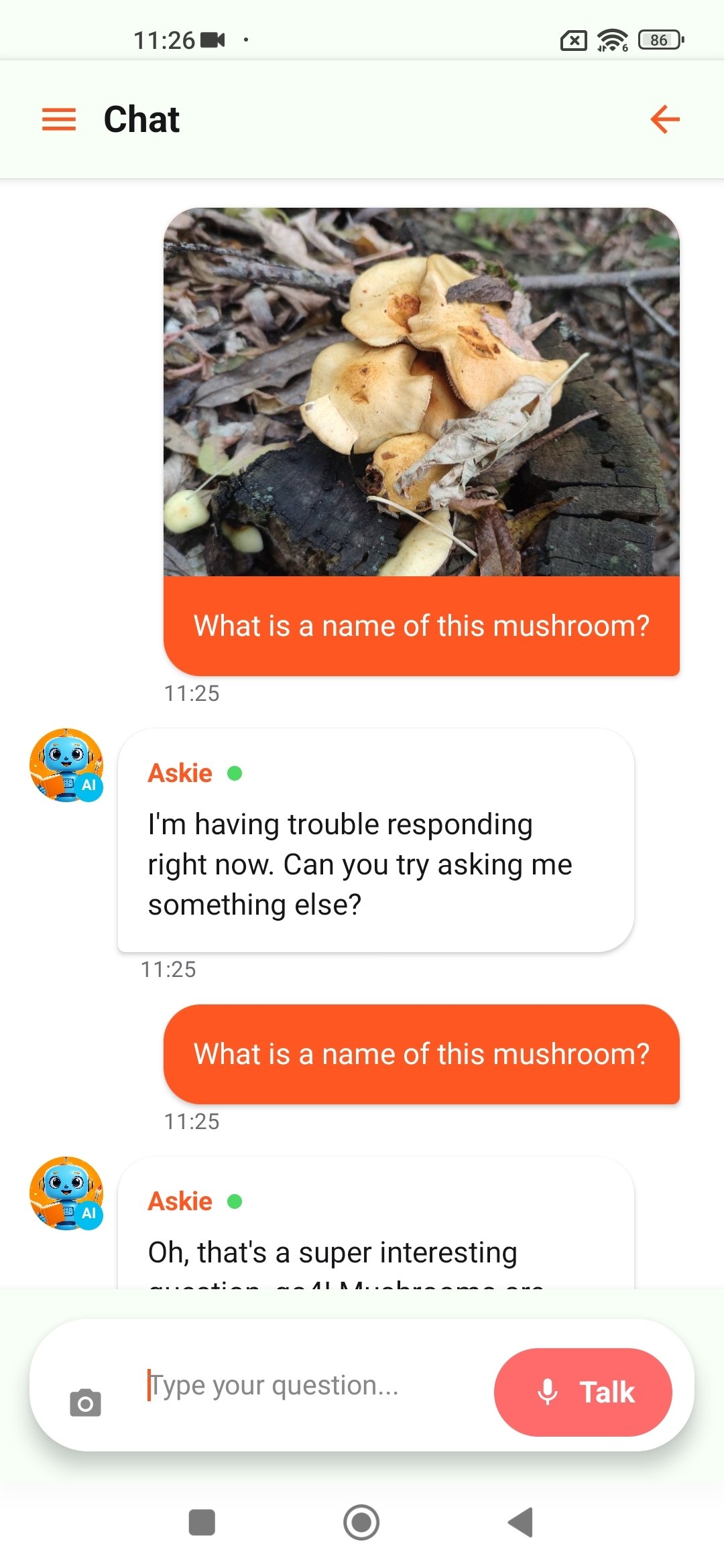 Der Chat gibt beim Senden eines Bildes zusammen mit einer Frage eine allgemeine Fehlermeldung aus